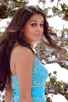 Tapsee Hot Pics